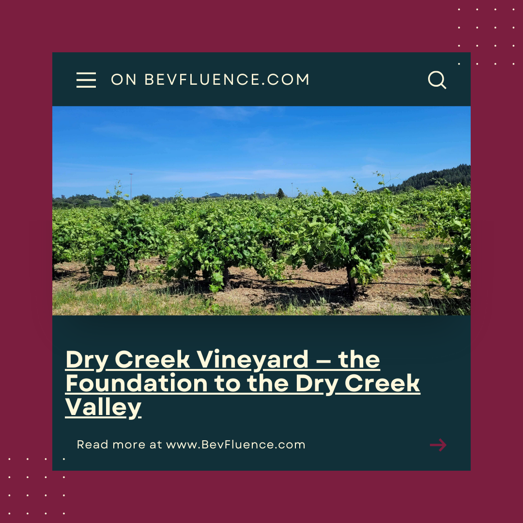 Dry Creek Vineyard — the Foundation to the Dry Creek Valley