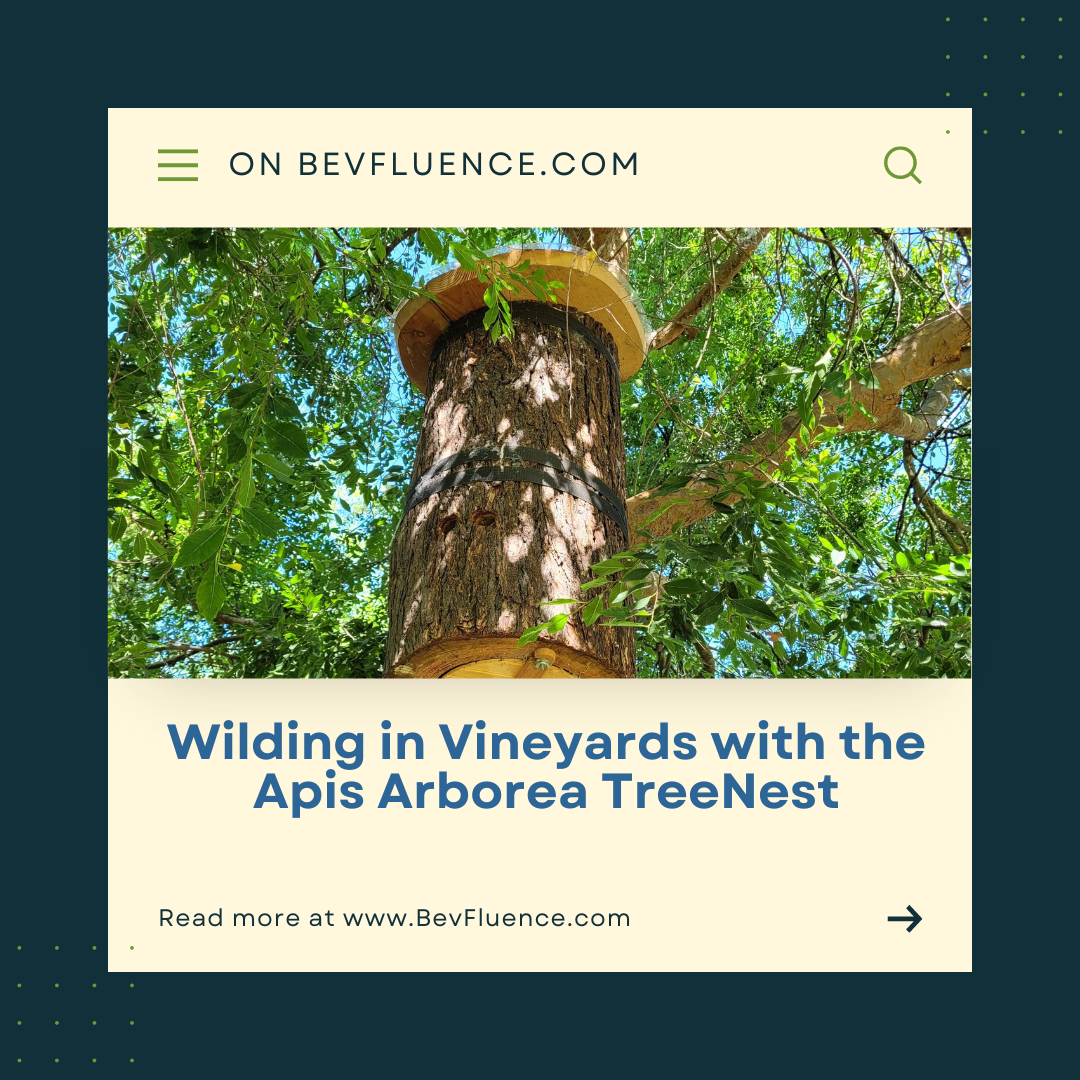Wilding in Vineyards with the Apis Arborea TreeNest